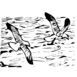 Векторная иллюстрация вылетающих чайки